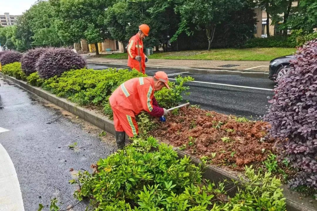 【会员风采】浙江新绿盾环境技术工程有限公司——护航亚运,按下亚运保障服务工作加速键